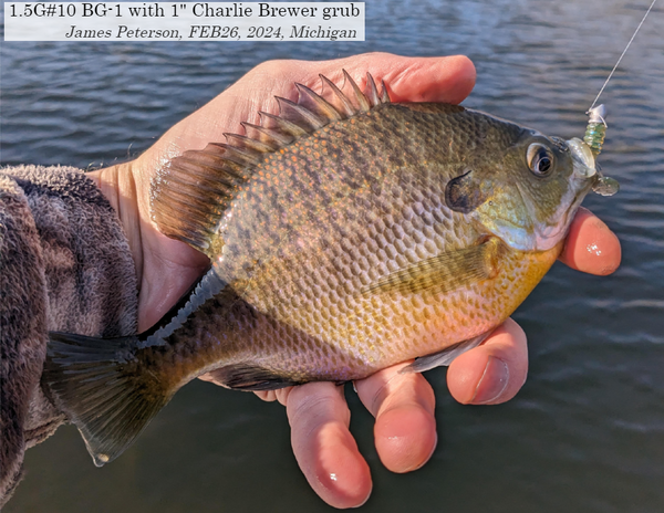 BG-1 micro jig head - 1.5 g