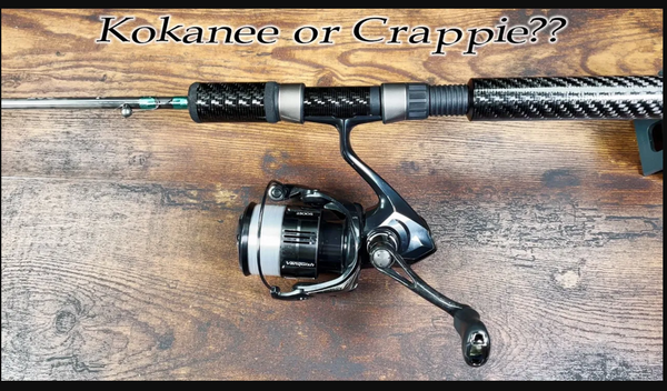 OKUMA SST Special Edition 7.0 UL, Perfect